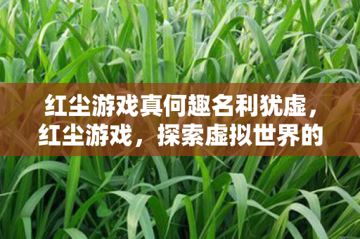 红尘游戏真何趣名利犹虚，红尘游戏，探索虚拟世界的无限可能