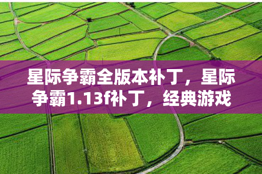 星际争霸全版本补丁,星际争霸1.13f补丁,经典游戏的时光机 星际争霸全版本补丁,星际争霸1.13f补丁,经典游戏的时光机