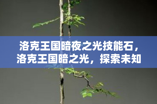 洛克王国暗夜之光技能石,洛克王国暗之光,探索未知世界的奇幻之旅 洛克王国暗夜之光技能石,洛克王国暗之光,探索未知世界的奇幻之旅