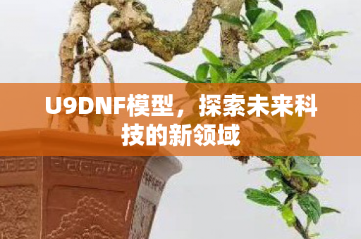 U9DNF模型,探索未来科技的新领域 U9DNF模型,探索未来科技的新领域
