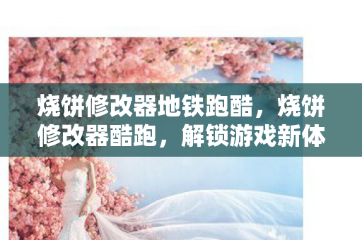 烧饼修改器地铁跑酷，烧饼修改器酷跑，解锁游戏新体验