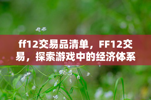 ff12交易品清单,FF12交易,探索游戏中的经济体系与交易策略 ff12交易品清单,FF12交易,探索游戏中的经济体系与交易策略