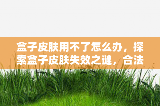 盒子皮肤用不了怎么办,探索盒子皮肤失效之谜,合法合规下的个性化体验 盒子皮肤用不了怎么办,探索盒子皮肤失效之谜,合法合规下的个性化体验