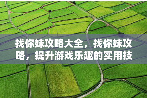 找你妹攻略大全,找你妹攻略,提升游戏乐趣的实用技巧 找你妹攻略大全,找你妹攻略,提升游戏乐趣的实用技巧
