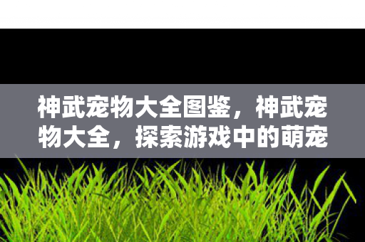 神武宠物大全图鉴,神武宠物大全,探索游戏中的萌宠世界 神武宠物大全图鉴,神武宠物大全,探索游戏中的萌宠世界