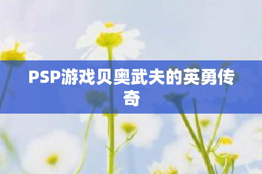 PSP游戏贝奥武夫的英勇传奇 PSP游戏贝奥武夫的英勇传奇