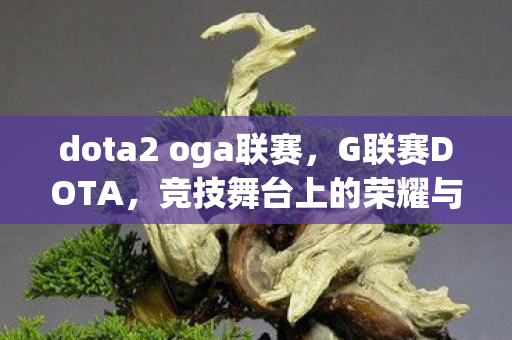 dota2 oga联赛,G联赛DOTA,竞技舞台上的荣耀与梦想 dota2 oga联赛,G联赛DOTA,竞技舞台上的荣耀与梦想