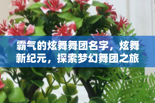 霸气的炫舞舞团名字,炫舞新纪元,探索梦幻舞团之旅 霸气的炫舞舞团名字,炫舞新纪元,探索梦幻舞团之旅