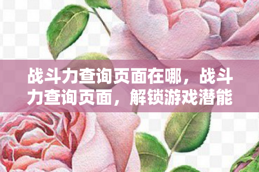 战斗力查询页面在哪，战斗力查询页面，解锁游戏潜能的钥匙