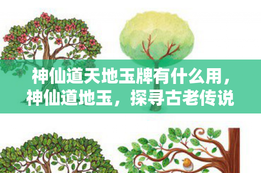 神仙道天地玉牌有什么用，神仙道地玉，探寻古老传说中的神秘瑰宝