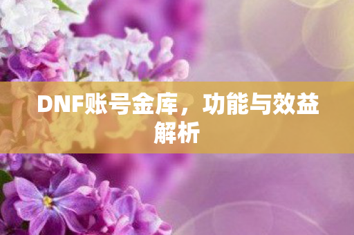 DNF账号金库,功能与效益解析 DNF账号金库,功能与效益解析