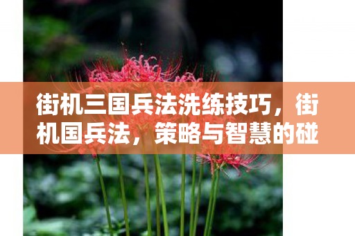 街机三国兵法洗练技巧,街机国兵法,策略与智慧的碰撞 街机三国兵法洗练技巧,街机国兵法,策略与智慧的碰撞