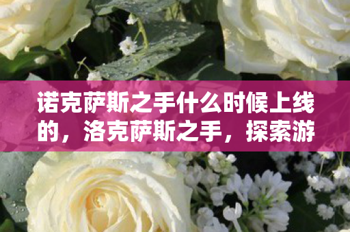诺克萨斯之手什么时候上线的,洛克萨斯之手,探索游戏世界的神秘力量 诺克萨斯之手什么时候上线的,洛克萨斯之手,探索游戏世界的神秘力量