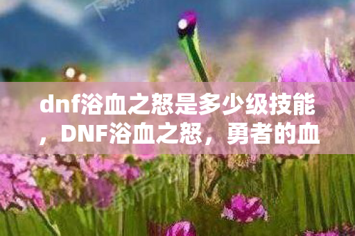 dnf浴血之怒是多少级技能，DNF浴血之怒，勇者的血与泪，战斗意志的觉醒