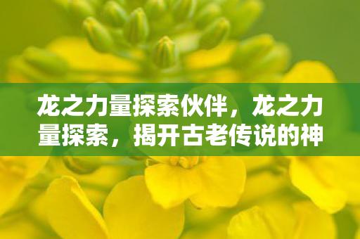 龙之力量探索伙伴,龙之力量探索,揭开古老传说的神秘面纱 龙之力量探索伙伴,龙之力量探索,揭开古老传说的神秘面纱