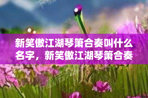 新笑傲江湖琴箫合奏叫什么名字,新笑傲江湖琴箫合奏,古风音乐的绝妙演绎 新笑傲江湖琴箫合奏叫什么名字,新笑傲江湖琴箫合奏,古风音乐的绝妙演绎