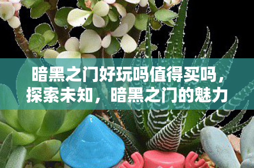 暗黑之门好玩吗值得买吗，探索未知，暗黑之门的魅力与乐趣