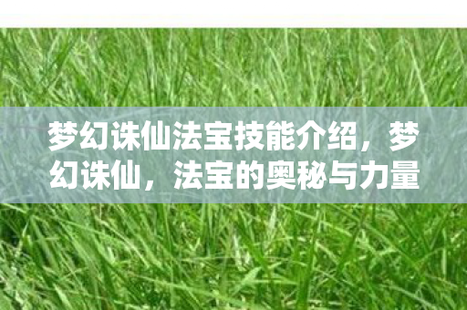 梦幻诛仙法宝技能介绍,梦幻诛仙,法宝的奥秘与力量 梦幻诛仙法宝技能介绍,梦幻诛仙,法宝的奥秘与力量
