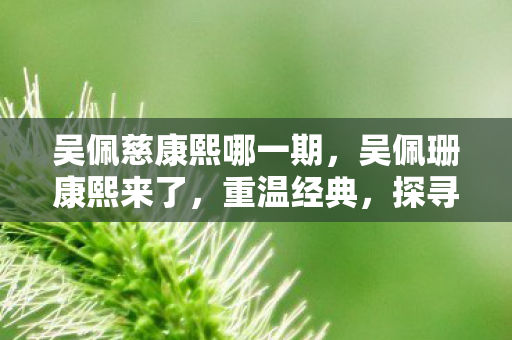 吴佩慈康熙哪一期,吴佩珊康熙来了,重温经典,探寻综艺节目的魅力 吴佩慈康熙哪一期,吴佩珊康熙来了,重温经典,探寻综艺节目的魅力