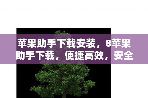 苹果助手下载安装,8苹果助手下载,便捷高效,安全无忧的iOS应用管理工具 苹果助手下载安装,8苹果助手下载,便捷高效,安全无忧的iOS应用管理工具