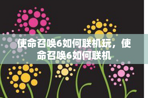 使命召唤6如何联机玩,使命召唤6如何联机 使命召唤6如何联机玩,使命召唤6如何联机
