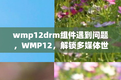 wmp12drm组件遇到问题,WMP12,解锁多媒体世界的钥匙 wmp12drm组件遇到问题,WMP12,解锁多媒体世界的钥匙