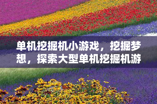 单机挖掘机小游戏,挖掘梦想,探索大型单机挖掘机游戏的魅力 单机挖掘机小游戏,挖掘梦想,探索大型单机挖掘机游戏的魅力