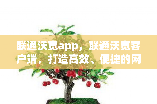 联通沃宽app,联通沃宽客户端,打造高效、便捷的网络体验 联通沃宽app,联通沃宽客户端,打造高效、便捷的网络体验