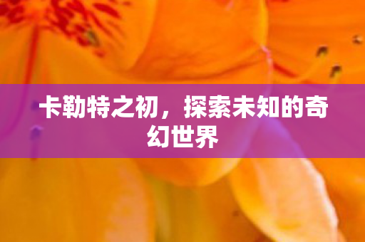 卡勒特之初,探索未知的奇幻世界 卡勒特之初,探索未知的奇幻世界