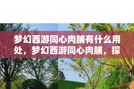 梦幻西游同心肉脯有什么用处，梦幻西游同心肉脯，探索经典游戏的多元魅力