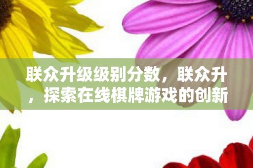 联众升级级别分数,联众升,探索在线棋牌游戏的创新与发展 联众升级级别分数,联众升,探索在线棋牌游戏的创新与发展