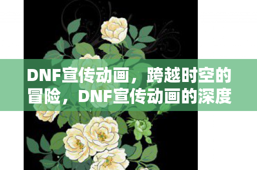 DNF宣传动画,跨越时空的冒险,DNF宣传动画的深度解析 DNF宣传动画,跨越时空的冒险,DNF宣传动画的深度解析
