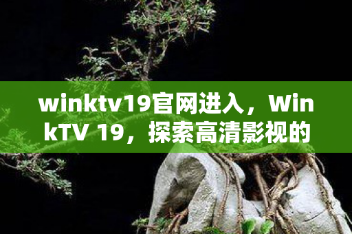 winktv19官网进入,WinkTV 19,探索高清影视的无限可能 winktv19官网进入,WinkTV 19,探索高清影视的无限可能