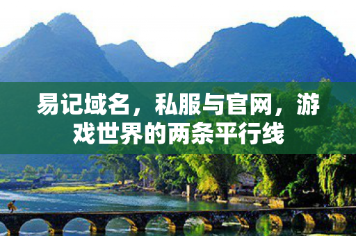 易记域名,私服与官网,游戏世界的两条平行线 易记域名,私服与官网,游戏世界的两条平行线