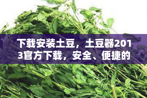 土豆器2013官方下载图片