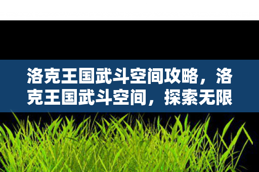 洛克王国武斗空间攻略,洛克王国武斗空间,探索无限可能的战斗舞台 洛克王国武斗空间攻略,洛克王国武斗空间,探索无限可能的战斗舞台
