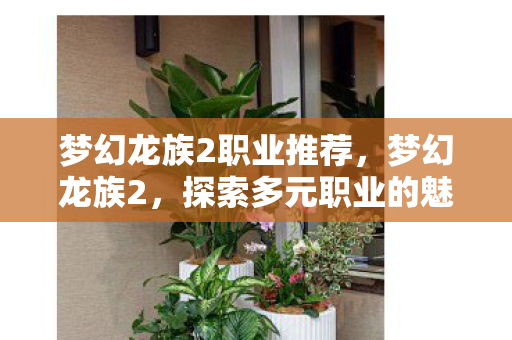梦幻龙族2职业推荐,梦幻龙族2,探索多元职业的魅力 梦幻龙族2职业推荐,梦幻龙族2,探索多元职业的魅力