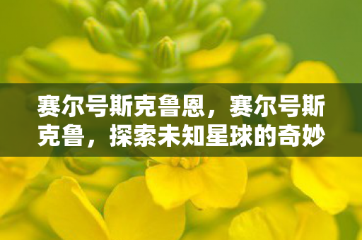 赛尔号斯克鲁恩,赛尔号斯克鲁,探索未知星球的奇妙之旅 赛尔号斯克鲁恩,赛尔号斯克鲁,探索未知星球的奇妙之旅