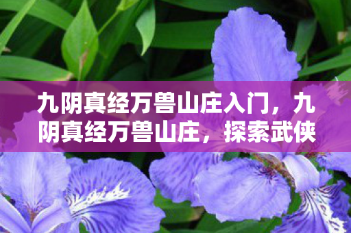 九阴真经万兽山庄入门,九阴真经万兽山庄,探索武侠世界的独特魅力 九阴真经万兽山庄入门,九阴真经万兽山庄,探索武侠世界的独特魅力