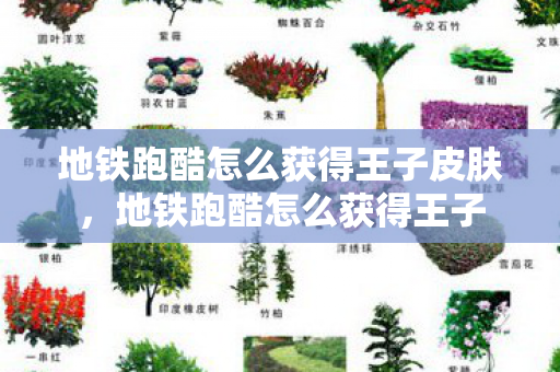 地铁跑酷怎么获得王子皮肤,地铁跑酷怎么获得王子 地铁跑酷怎么获得王子皮肤,地铁跑酷怎么获得王子