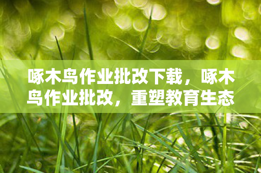 啄木鸟作业批改下载,啄木鸟作业批改,重塑教育生态,提升批改效率 啄木鸟作业批改下载,啄木鸟作业批改,重塑教育生态,提升批改效率