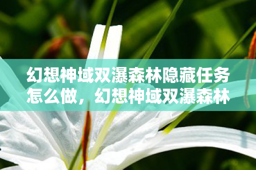 幻想神域双瀑森林隐藏任务怎么做，幻想神域双瀑森林隐藏任务揭秘，探索未知的神秘之旅