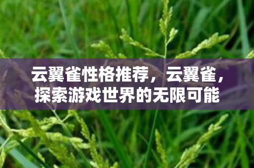 云翼雀性格推荐，云翼雀，探索游戏世界的无限可能