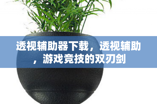 透视辅助器下载,透视辅助,游戏竞技的双刃剑 透视辅助器下载,透视辅助,游戏竞技的双刃剑