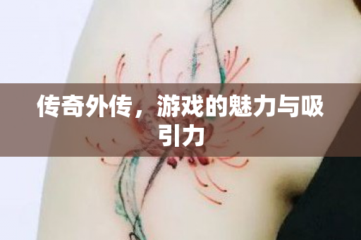传奇外传,游戏的魅力与吸引力 传奇外传,游戏的魅力与吸引力