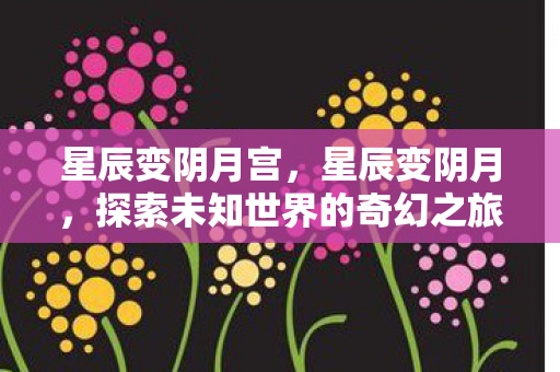 星辰变阴月宫,星辰变阴月,探索未知世界的奇幻之旅 星辰变阴月宫,星辰变阴月,探索未知世界的奇幻之旅