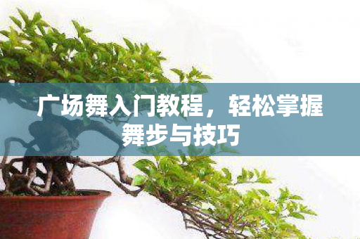 广场舞入门教程,轻松掌握舞步与技巧 广场舞入门教程,轻松掌握舞步与技巧