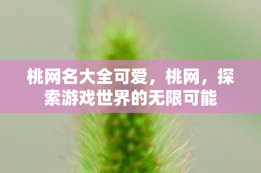 桃网名大全可爱,桃网,探索游戏世界的无限可能 桃网名大全可爱,桃网,探索游戏世界的无限可能