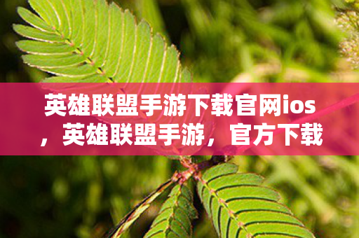 英雄联盟手游下载官网ios,英雄联盟手游,官方下载指南与体验优化 英雄联盟手游下载官网ios,英雄联盟手游,官方下载指南与体验优化