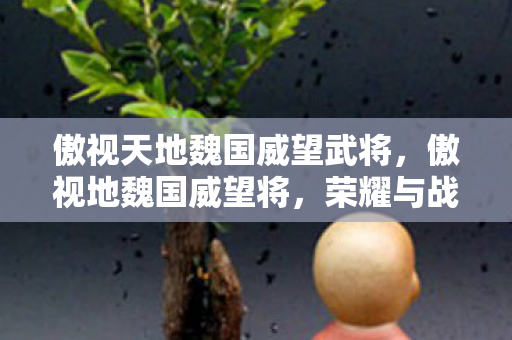 傲视天地魏国威望武将，傲视地魏国威望将，荣耀与战略并存的传奇篇章